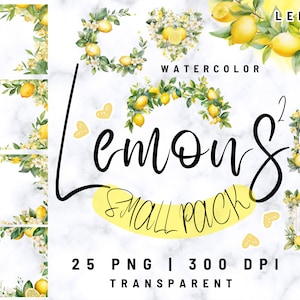 Marcos de limón acuarela png / Paquete de imágenes prediseñadas de limón / Limones de acuarela / Paquete de imágenes prediseñadas / Paquete de limón / Corona de limón / Uso comercial