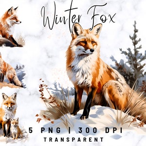 5 Fox Clipart, Fox Aquarelle clipart, Winter Animals clipart, Téléchargement numérique, Fabrication de cartes, Digital Paper Craft, Utilisation commerciale gratuite
