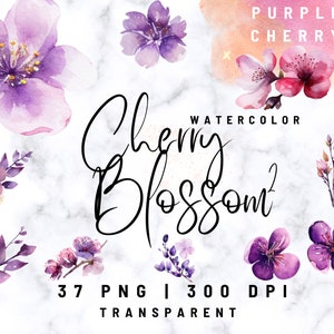 Cherry Blossom Clipart | Watercolor Clipart Bundle | High Quality PNGs | Digital Clipart | Cherry Flowers | Spring | Commercial Use
