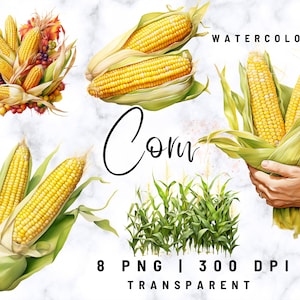 Corn Clipart, Corn Watercolour Clipart, Digital Download, Free Commercial Use