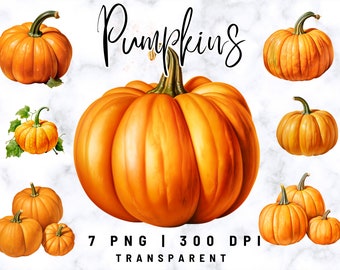 Pumpkin clipart, Watercolor Pumpkin PNG, Pumpkin Harvest, Autumn clipart, Commercial use clipart, pumpkin sublimation