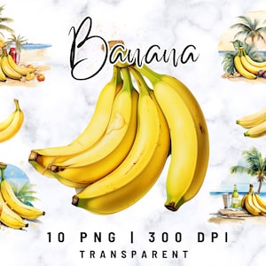 Banane Clipart, aquarelle banane Clipart, banane PNG, banane clipart bundle, clipart de fruits tropicaux