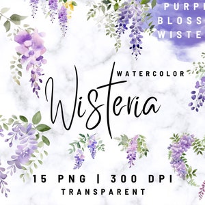 Wisteria Clipart | Wisteria Watercolor | High Quality PNGs | Digital | Wisteria Flowers | Purple Flowers Clipart | Commercial Use