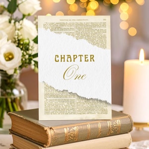 Canva Book Table Number, Happily Ever After, Love Story, Book Wedding, Editable Template, Wedding Book Table Name, Art Nouveau, Chapter, VB