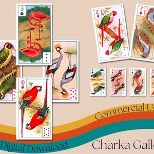 "Birds of Brilliant Plumage ""zigarette karten, Vogel Spielkarten Full Deck, Vintage Ephemera Collage Sheet, Teekarten."