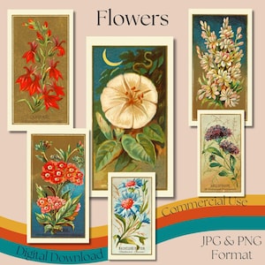 Tarjetas de cigarrillos con flores, tarjetas de cigarrillos vintage imprimibles, ilustraciones de flores, tarjetas coleccionables, efímeras vintage, uso comercial