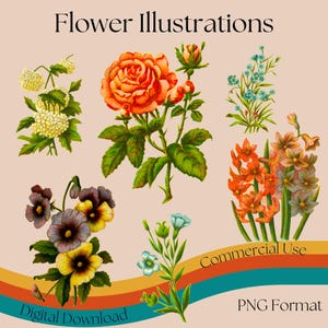 Vintage Blumen Illustrationen, transparente PNG Hintergründe, bunte Blumen Zeichnungen, Ephemera, Scrapbooking, Clip Art, kommerzielle Nutzung