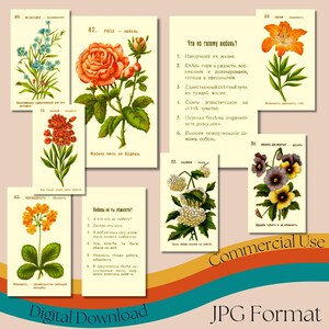 Conjunto completo de cartas de adivinhação de flores vintage, baralho de cartas de jogo russo do século XIX para impressão, baralho colecionável, uso comercial