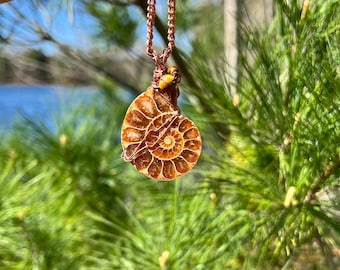 Ammonite Tigers Eye Pendant Necklace, Spiral Sea Shell Fossil Necklace, Wire Wrapped Crystal Pendant
