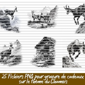 Set med 25 illustrationer av Chamois-berg • Teckningar av vilda djur • PNG-filer med transparent bakgrund för gravyr, tryck och naturdekor