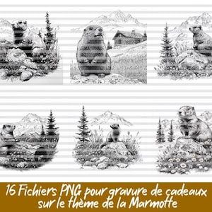 16 visuels marmotte magnifiques – Fichiers PNG haute qualité pour gravure, flocage ou impression