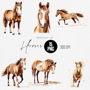 Watercolor Horse Clipart PNG | Running Horses | Wild Farm Animals | Western Decor | Rustic Horse Art | 15 PNG 300 DPI