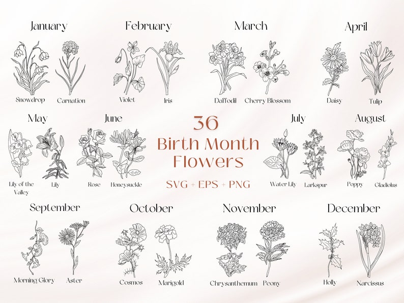 Birth Month Flowers 36 Svg Png Jpg WITH FREEBIES Floral Svg for Cricut ...