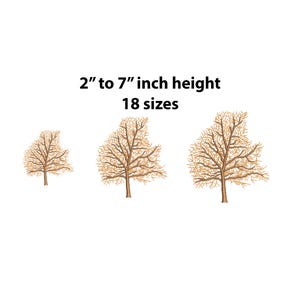 May include: Three brown trees with bare branches, ranging in size from 2 to 7 inches tall. The text "2" to 7" inch height 18 sizes" is above the trees.