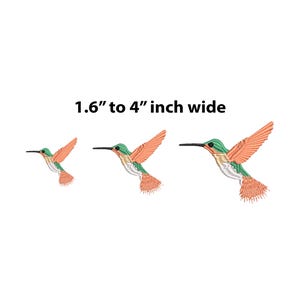 May include: Three embroidered hummingbird designs in various sizes, ranging from 1.6 to 4 inches wide. The hummingbirds are depicted in flight with green heads, orange bodies, and black beaks.