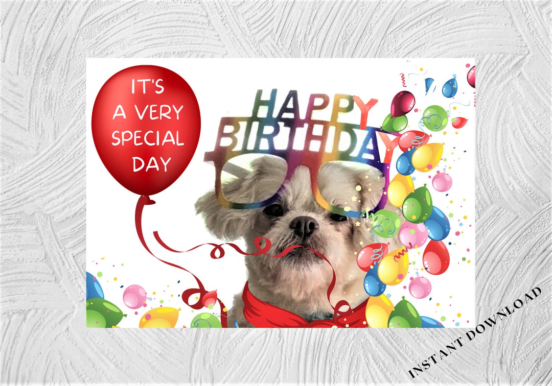 DOG LOVERS BIRTHDAY Card Happy Birthday Dog Lovers Birthday - Etsy