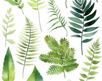 Lush Greenery Watercolor Clipart Collection 1- Romantic Forest Leaves, Ferns, and Foliage - Wedding Invitation Design - Digital Download PNG