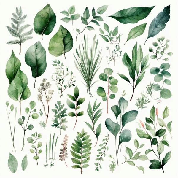 Greenery Foliage Leaves 67 PNG ClipArt Sets 6/8/11/20 - Watercolor Botanical Digital Files for Wedding Invitations, Scrapbooking, and Crafts