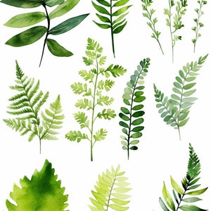 Collection de 15 cliparts aquarelle de verdure luxuriante : feuilles, fougères et feuillage de la forêt romantique - conception de faire-part de mariage - téléchargement numérique PNG