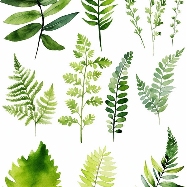 Lush Greenery Watercolor Clipart Collection 15 Romantic Forest Leaves, Ferns, and Foliage - Wedding Invitation Design - Digital Download PNG