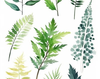 Lush Greenery Watercolor Clipart Collection 14 Romantic Forest Leaves, Ferns, and Foliage - Wedding Invitation Design - Digital Download PNG