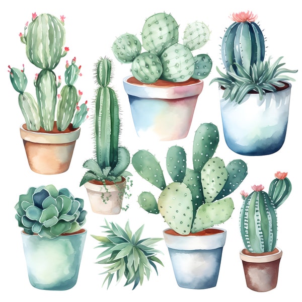 Cactus Potted Succulent ClipArt Set 5 - Watercolor Botanical home garden PNG Digital Files for Wedding Invitations, Scrapbooking and Crafts