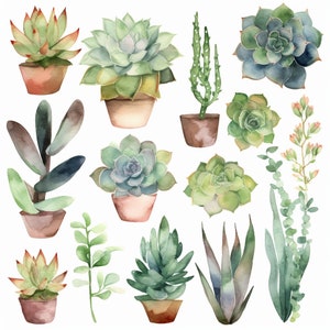 Sukkulenten Paradies Aquarell ClipArt Set 8 - Botanischer Hausgarten PNG digitale Dateien für Hochzeitseinladungen, Scrapbooking und Basteln