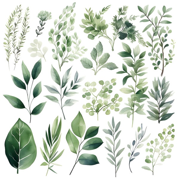 Verdure feuillage feuilles 46 PNG ClipArt ensembles 22/04/25 - fichiers numériques botaniques aquarelle pour les faire-part de mariage, Scrapbooking et artisanat