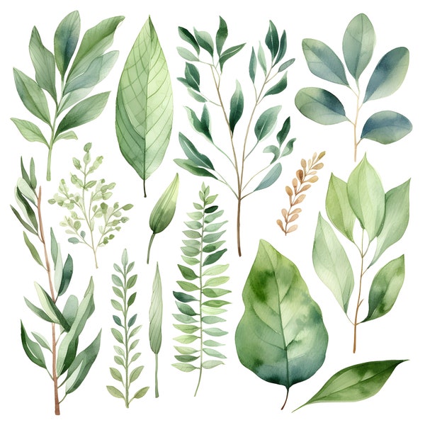 Greenery Foliage Leaves 39 PNG ClipArt Sets 7/13/18/19 - Watercolor Botanical Digital Files for Wedding Invitations, Scrapbooking and Crafts