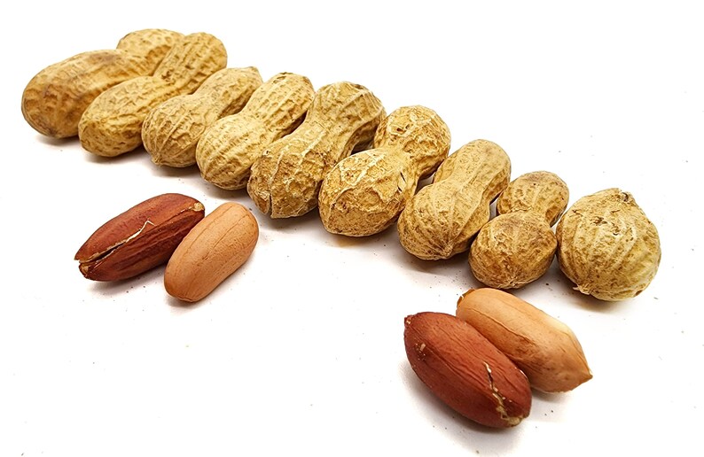 Premium Roasted Peanuts in Shell 1lb Unsalted Peanuts Cacahuate