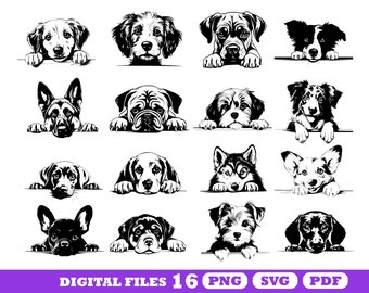 Pacchetto SVG di cane che fa capolino, clipart di silhouette di cucciolo, file di taglio per decalcomanie per auto per Cricut