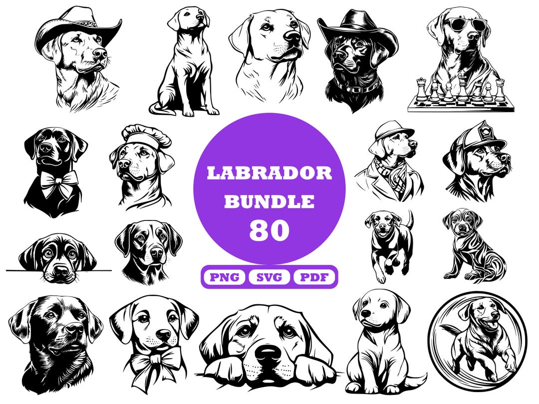 Labrador SVG Bundle: Dog Breed Clipart, Puppy Outline Digital Files for ...