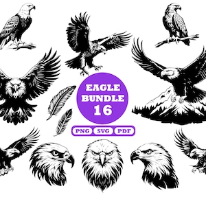 Adler SVG Bundle, Adler SVG, Adler Kopf SVG, Adler Kopf Clipart Bundle, Adler Gesicht SVG, Adler PNG Bundle, Adler Clipart, Adler Cricut