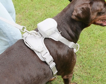 No Pull Dog Harness and Leash Set Personalized | Large Dog Harness Set | Reflective Custom Dog Harness | Beige Grey