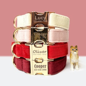 Set collare e guinzaglio per cani personalizzati con papillon / Collare per cani personalizzato / Collare per cani inciso / Collare per cani bordeaux