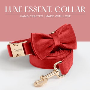 Set collare e guinzaglio per cani personalizzati con papillon / Collare per cani personalizzato / Collare per cani inciso / Collare per cani rosso