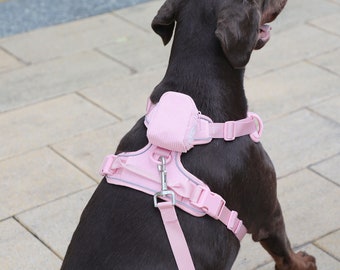 Ensemble harnais et laisse sans traction pour chien à personnaliser | Grand ensemble de harnais pour chien | Harnais réfléchissant pour chien personnalisé | Rose