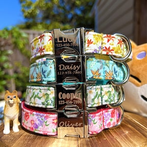 Floral Dog Collar Personalized | Daisy Dog Collar | Female Dog Collar | Dog Days Gift