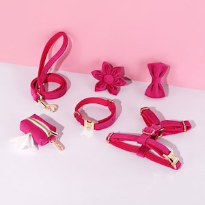 Magenta Personalized Dog Harness and Leash Set  | No Pull Dog Harness | Poop Bag Holder | Dog Gifts