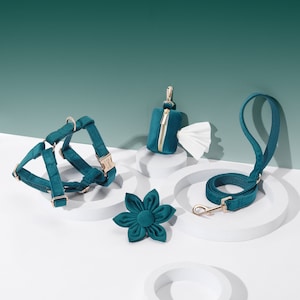 Teal Personalized Dog Harness and Leash Set | No Pull Dog Harness | Poop Bag Holder | Dog Gifts