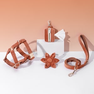 Caramel Brown Personalized Dog Harness and Leash Set | No Pull Dog Harness | Poop Bag Holder | Dog Gifts