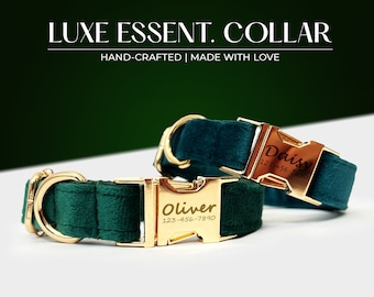 Personalized Emerald Velvet Dog Collar and Leash Set with Bowtie