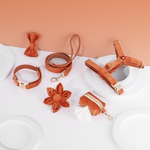 Caramel Brown Personalized Dog Harness and Leash Set | No Pull Dog Harness | Poop Bag Holder | Dog Gifts