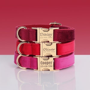 Set collare e guinzaglio per cani personalizzati con papillon / Collare per cani personalizzato / Collare per cani inciso / Collare per cani bordeaux
