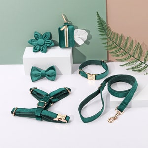 Emerald Personalized Dog Harness and Leash Set | No Pull Dog Harness | Poop Bag Holder | Dog Gifts