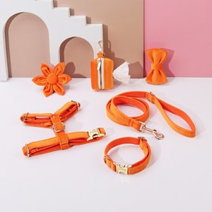 Orange Personalized Dog Harness and Leash Set | No Pull Dog Harness | Poop Bag Holder | Dog Gifts