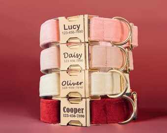 Gepersonaliseerde fluwelen hondenhalsband, gegraveerd huisdier-ID, aangepaste puppyhalsband