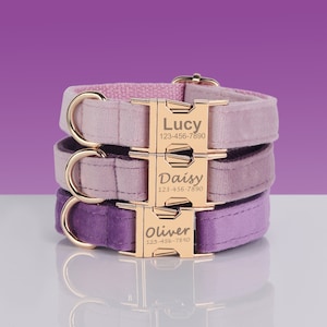 Set collare e guinzaglio per cani personalizzati con papillon / Collare per cani personalizzato / Collare per cani inciso / Collare per cani viola