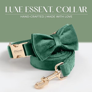 Custom Dog Collar and Leash Set with Bowtie | Personalized Dog Collar | Engraved Dog Collar | Emerald Dog Collar