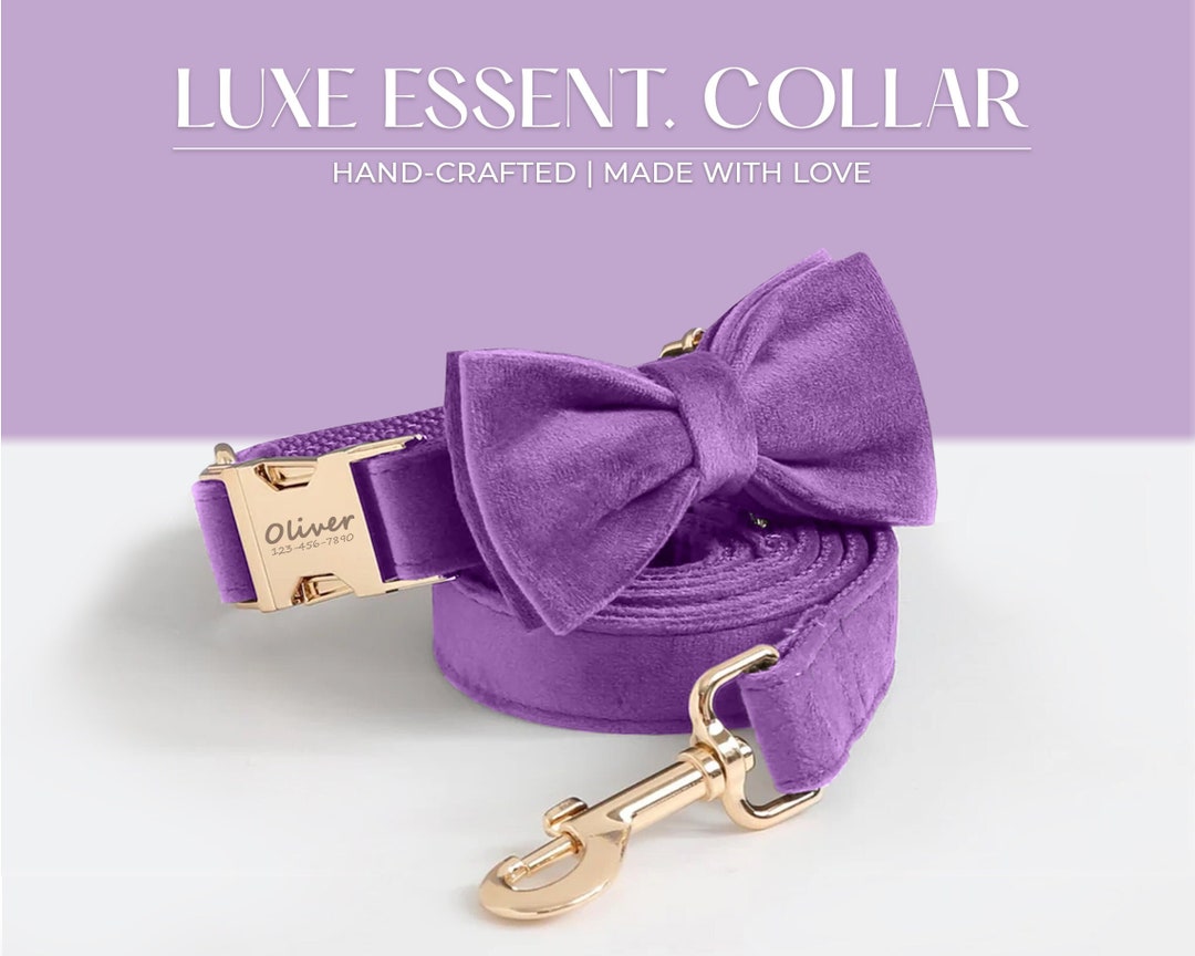 Personalized Velvet Dog Collar Leash Set With Bow Tie Purple Etsy